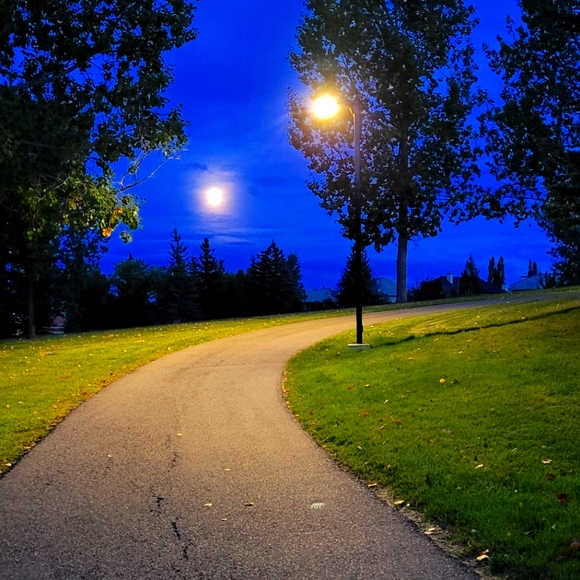 Meet your Posher, We're the - Picture 1 of 1